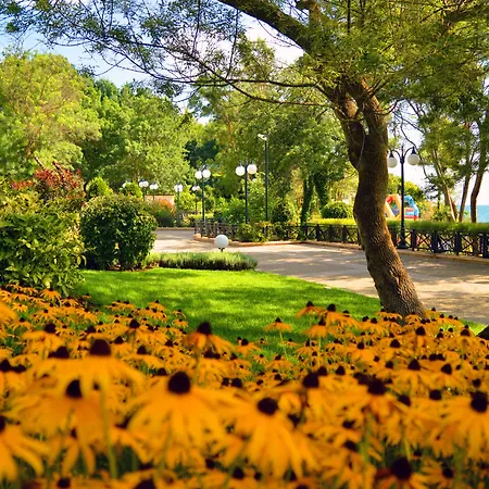 Oasis Resort&spa