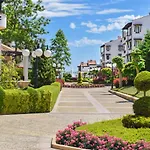 Oasis