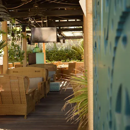 Oasis 4* Лозенец