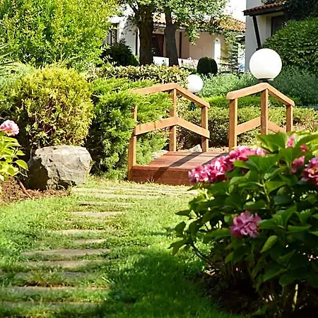 Oasis منتجع