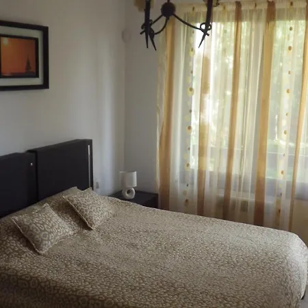 Oasis ロゼネッツ