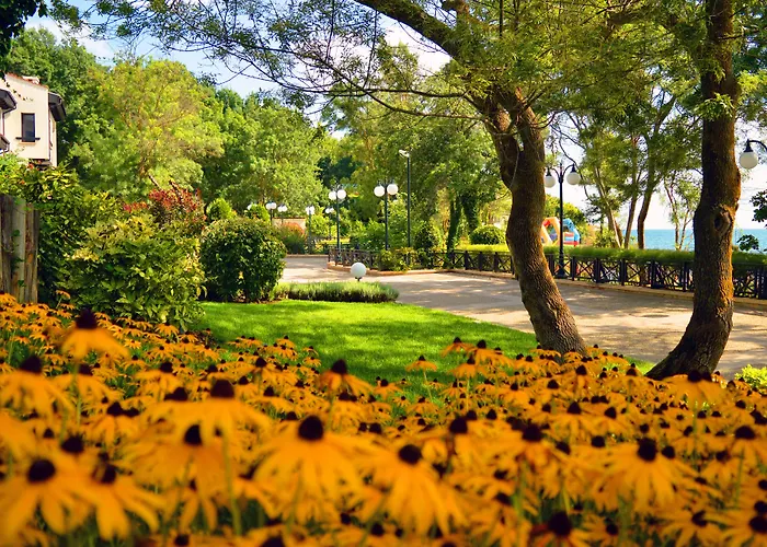 Oasis
