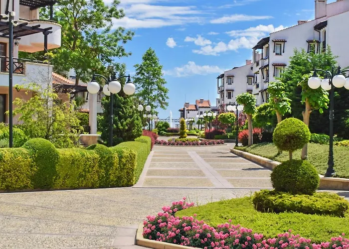 Oasis
